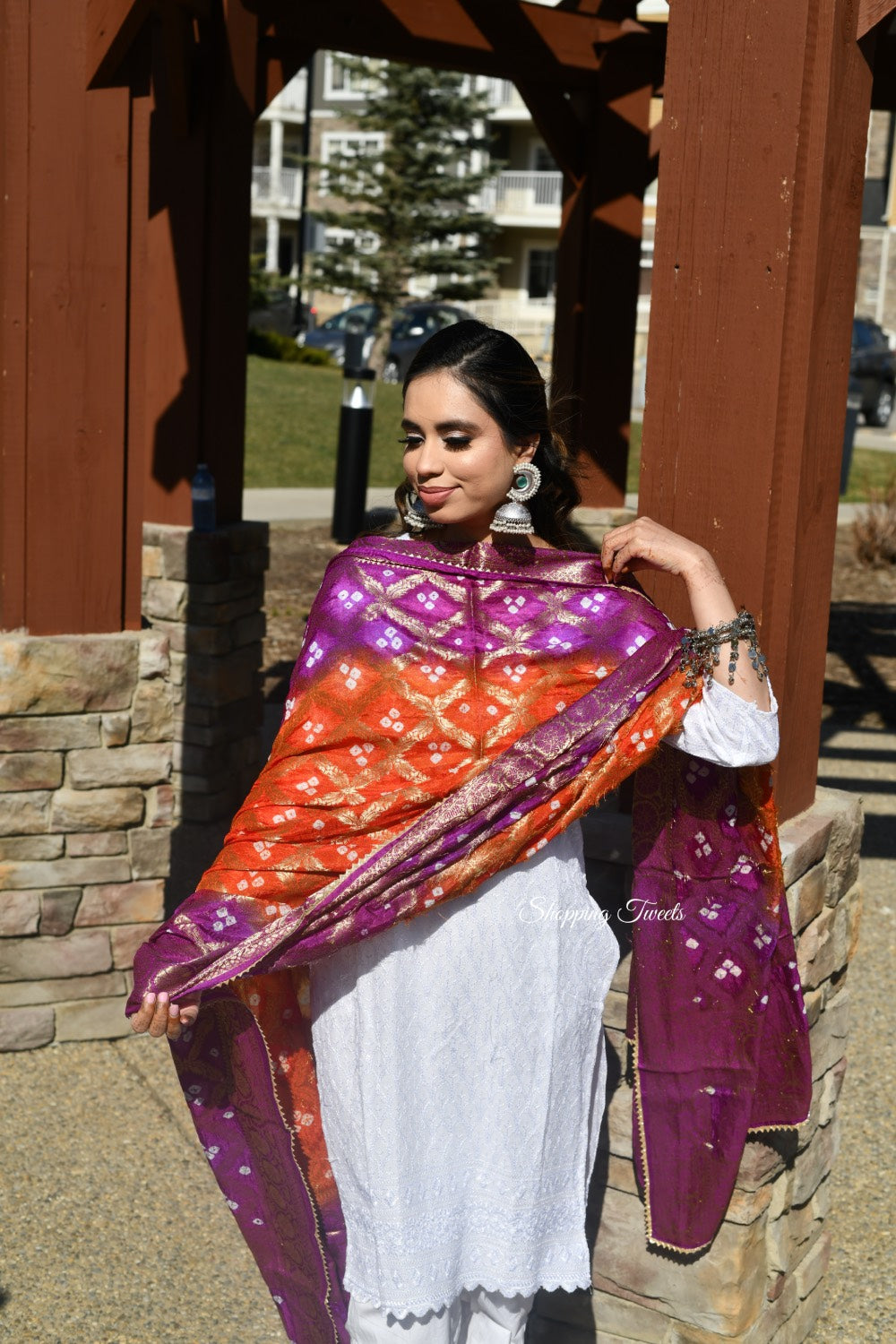Aarohi Dupatta